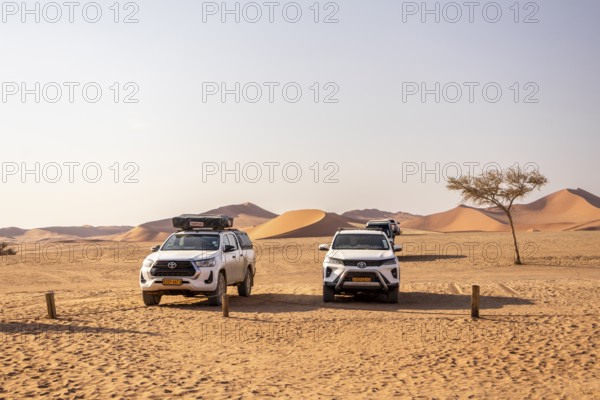 Sossusvlei, Namibia - 27 August, 2025: tracks wind through the vast red dunes, leading explorers across the surreal and remote landscapes of the Namib Desert