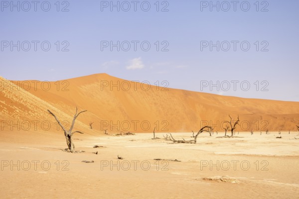 Big Daddy Dune & Deadvlei, Namibia – Towering red dune above Deadvlei's ancient dead camelthorn trees and white clay pan