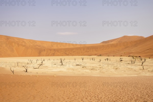 Big Daddy Dune & Deadvlei, Namibia – Towering red dune above Deadvlei's ancient dead camelthorn trees and white clay pan