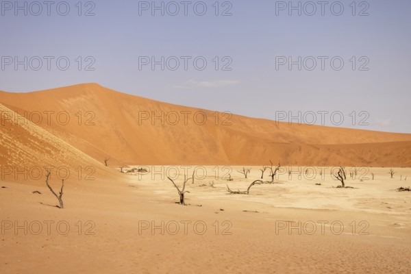Big Daddy Dune & Deadvlei, Namibia – Towering red dune above Deadvlei's ancient dead camelthorn trees and white clay pan