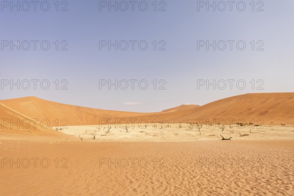 Big Daddy Dune & Deadvlei, Namibia – Towering red dune above Deadvlei's ancient dead camelthorn trees and white clay pan