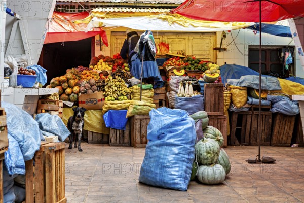 A colourful marketplace full of fruit and vegetables with a dog standing between wooden crates, market stall selling goods in the market halls of Potosi in Bolivia