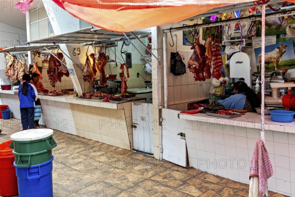 A lively meat market with customers and colourful illustrations in the background, The meat market in the market halls of Potosi in Bolivia