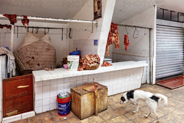 A dog walks past a table of raw meat and closed stalls, The meat market in the market halls of Potosi in Bolivia