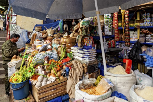 A lively market stall full of fresh vegetables, fruit and spices under a large umbrella, Extensive range of goods at a market stall in the market halls of Potosi Bolivia