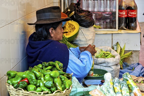 A woman sells vegetables at a market surrounded by colourful ingredients and objects, market stall selling goods in the market halls of Potosi in Bolivia