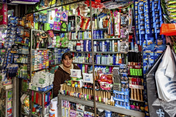 A kiosk with a saleswoman behind the counter, surrounded by a colourful variety of household goods, market stall selling goods in the market halls of Potosi in Bolivia