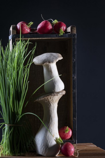 oyster mushrooms with radishes and chives in a wooden crate against a dark background