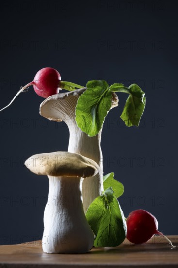 Lateral shoots with radishes against a dark background
