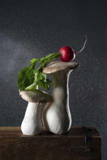 oyster mushrooms with radishes on wooden box, with water droplets