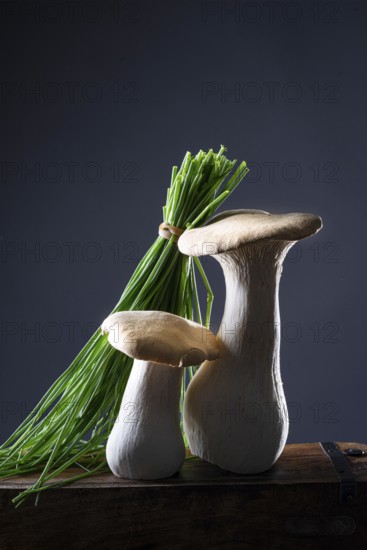 oyster mushrooms with chives against a dark background