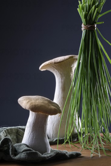oyster mushrooms with chives against a dark background