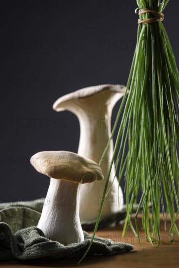 oyster mushrooms with chives against a dark background