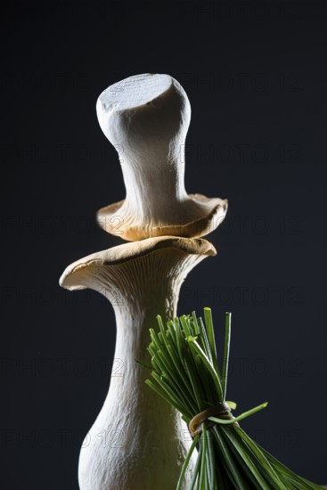 oyster mushrooms with chives against a dark background