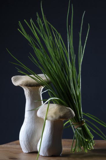 oyster mushrooms with chives against a dark background