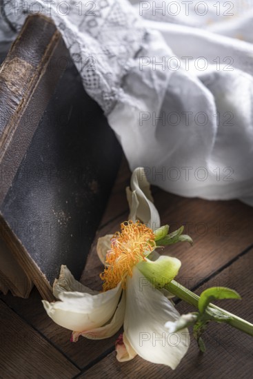 Still life of an old book with lace cover and faded peony