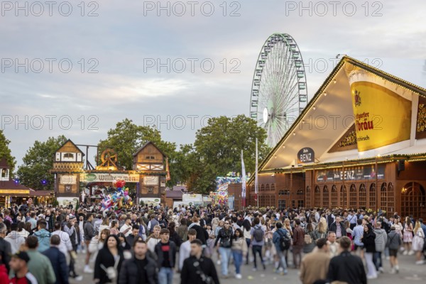 Folk festival time in Stuttgart. The 178th Cannstatter Volksfest on the Wasen is one of the most important traditional festivals in Germany. In addition to the large festival tents, the Wasen is characterised by fairground attractions. Around 320 showmen, festival hosts and market traders expect around four million visitors. Bad Cannstatt, Stuttgart, Baden-Württemberg, Germany
