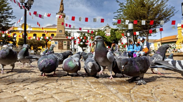 Pigeons in a square with a monument and garlands, people in the background under a clear sky, The city pigeons of Potosi in Bolivia