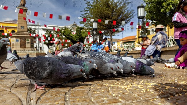 Pigeons gather in a square with people and garlands while children watch, The urban pigeons of Potosi in Bolivia