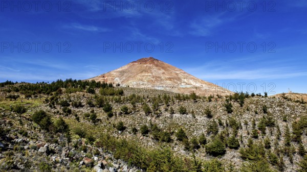 Brown volcanic mountain under a clear blue sky, surrounded by sparse vegetation and trees, the silver mountain Cerro Rico near Potosi Bolivia