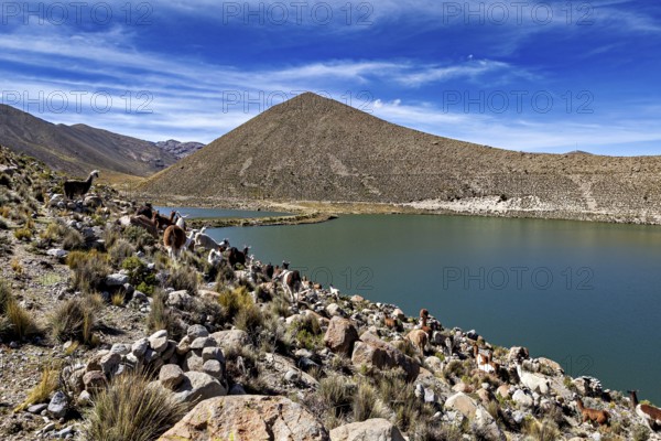 Clear lake surrounded by mountains and rocks, under a blue sky, The landscape near Potosi in Bolivia