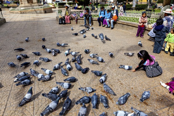 Lots of pigeons in an open square, children playing next to them, people nearby, The urban pigeons of Potosi in Bolivia