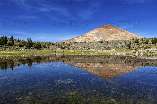 Volcanic mountain reflected in the calm waters of the lake under a clear blue sky, surrounded by green meadows, The silver mountain Cerro Rico near Potosi Bolivia