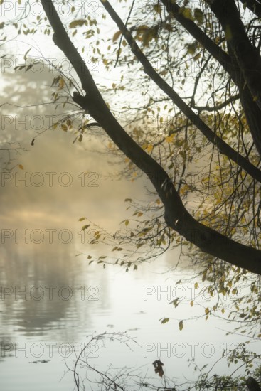 River landscape in foggy mood