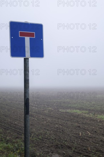 Dead end sign standing on a pole in a tilled field with thick fog