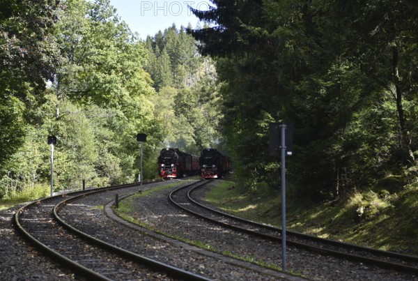 Double run, parallel run, double exit of two steam locomotives of the Harz narrow-gauge railway, Saxony-Anhalt, Germany