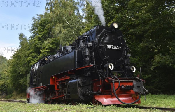 Steam locomotive of the Harz narrow gauge railway, Saxony-Anhalt, Germany