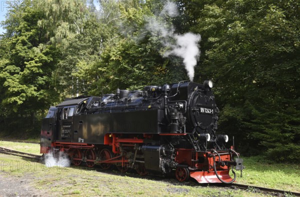 Steam locomotive of the Harz narrow gauge railway, Saxony-Anhalt, Germany