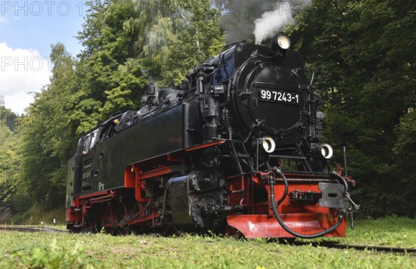 Steam locomotive of the Harz narrow gauge railway, Saxony-Anhalt, Germany