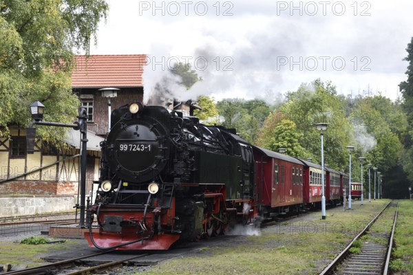 Rail bus, railcar T1 and steam locomotive of the Harz narrow-gauge railway at Alexisbad station, Saxony-Anhalt, Germany