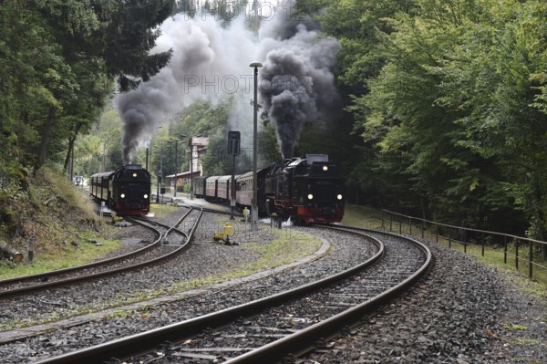 Double run, parallel run, double exit of two steam locomotives of the Harz narrow-gauge railway, Saxony-Anhalt, Germany