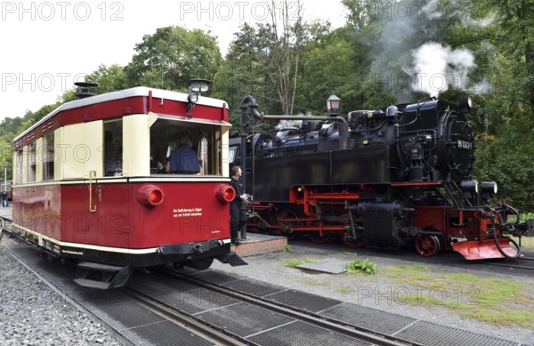 Rail bus, railcar T1 and steam locomotive of the Harz narrow-gauge railway at Alexisbad station, Saxony-Anhalt, Germany