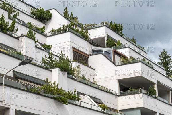 Terraces apartment block, Arosa, Graubünden, Switzerland