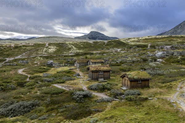Wooden huts scattered in a forested mountain landscape with narrow paths and moderate cloud cover in the background, Peer Gynt hytta, Rondane National Park, Otta, Innlandet, Norway
