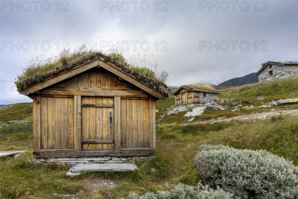 Wooden huts with grass-covered roofs in a hilly, rural landscape under a cloudy sky, Peer Gynt hytta, Rondane National Park, Otta, Innlandet, Norway