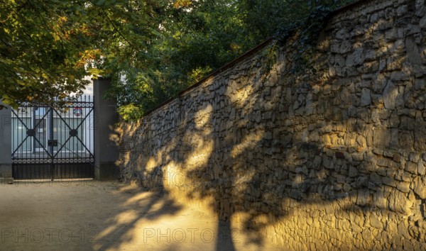 A stone wall in Berlin, illuminated by late afternoon sunlight, with trees casting shadows, Berlin, Germany