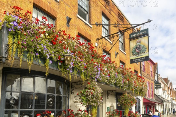 Colourful flowers in large window box and hanging baskets, Royal Oak public house, Marlborough, Wiltshire, England, UK