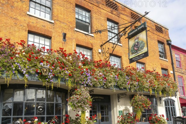 Colourful flowers in large window box and hanging baskets, Royal Oak public house, Marlborough, Wiltshire, England, UK