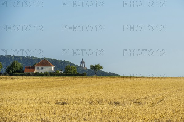 Summer landscape with a wheat field, a house with a red roof and a tower on a hill in the background, Kaiser Wilhelm Monument, Holzhausen, Porta-Westfalica, North Rhine-Westphalia