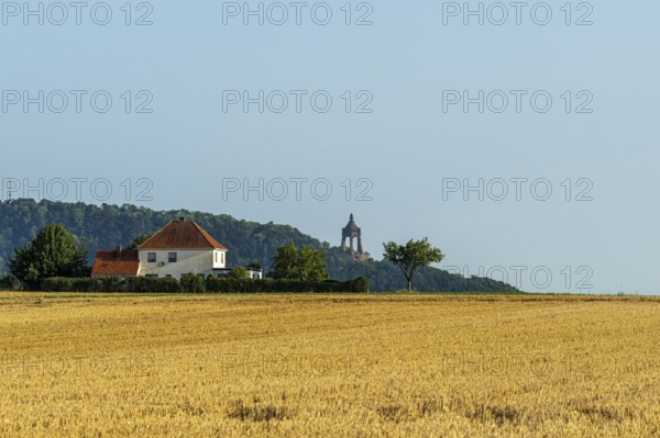 Summer landscape with a wheat field, a house with a red roof and a tower on a hill in the background, Kaiser Wilhelm Monument, Holzhausen, Porta-Westfalica, North Rhine-Westphalia