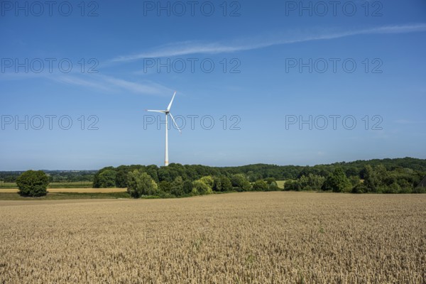 A wind turbine in the middle of a large field under a clear sky, Halle, Westphalia, North Rhine-Westphalia