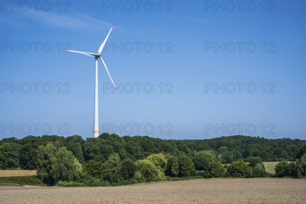 A wind turbine towers in a green landscape under a clear blue sky, Halle, Westphalia, North Rhine-Westphalia