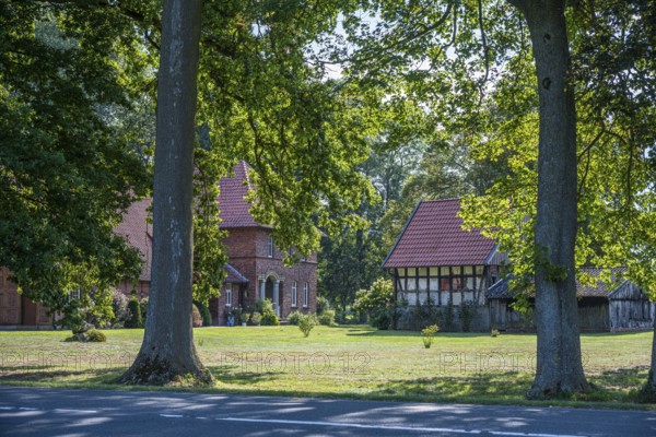 Rural scene with a red tiled roof house and a half-timbered building, lined with large trees, Gütersloh, Westphalia