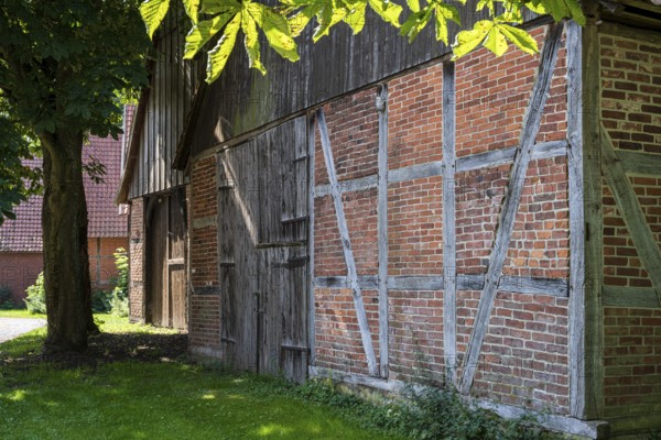 Front of a half-timbered house with wood and bricks, shaded by deciduous trees, Weser cycle path, Schlüsselburg barn quarter, Petershagen, North Rhine-Westphalia