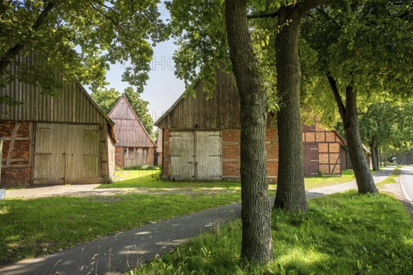 Avenue with old half-timbered houses lined with large trees on a sunny day, Weser cycle path, Scheunenviertel Schlüsselburg, Petershagen, North Rhine-Westphalia