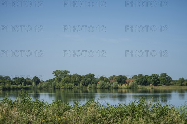 A calm river with green trees and a clear sky reflects the peaceful atmosphere of nature, Weser near Buchholz, Petershagen, North Rhine-Westphalia